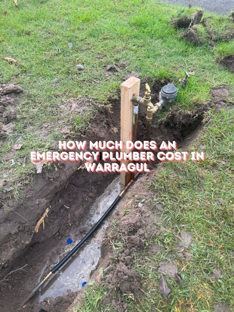 How-Much-Does-An-Emergency-Plumber-Cost-In-Warragul