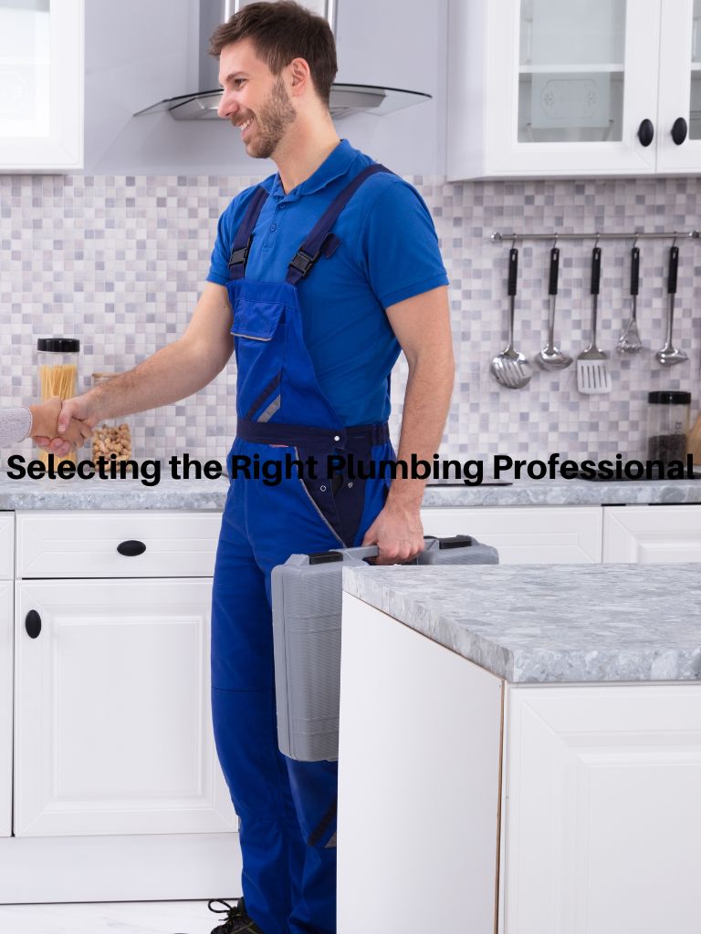 Selecting the Right Plumbing Professional